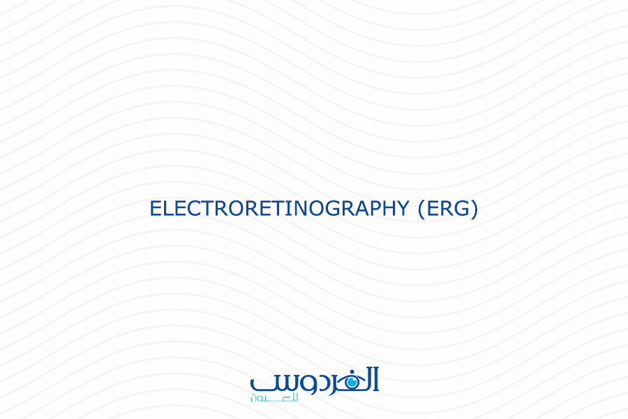 Electroretinogram (ERG)